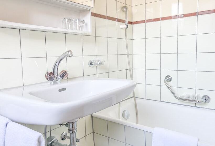 חדר אקונומי, Rothaus Luzern & Peruvian Culinary Art