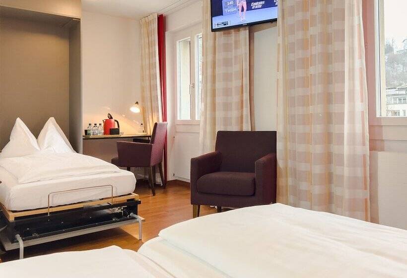 חדר סופריור לשלושה, Rothaus Luzern & Peruvian Culinary Art