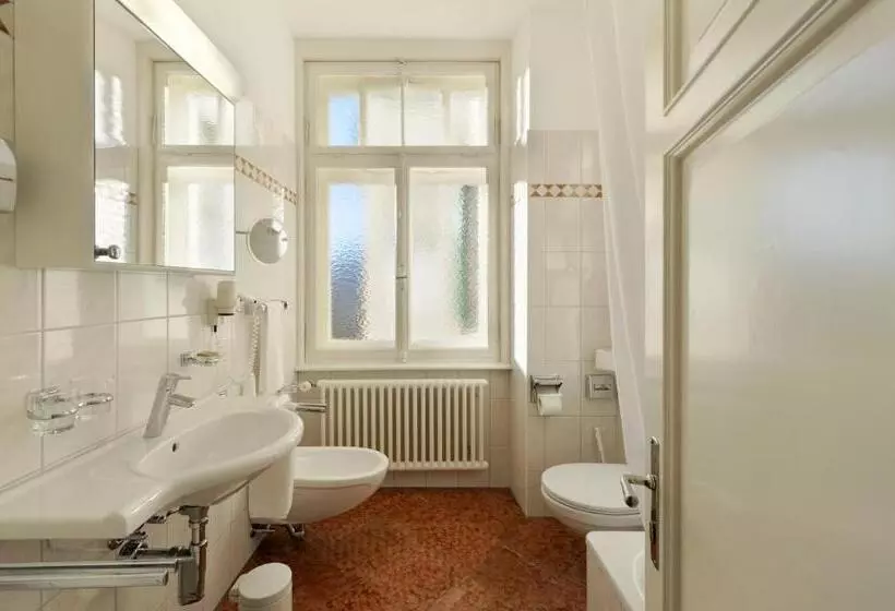 シングルベーシックルーム, Waldhaus Sils