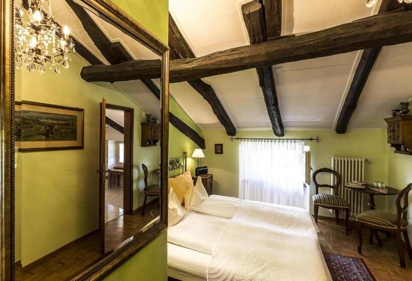 スタンダードルーム, Swiss Historic Hotel Villa Carona