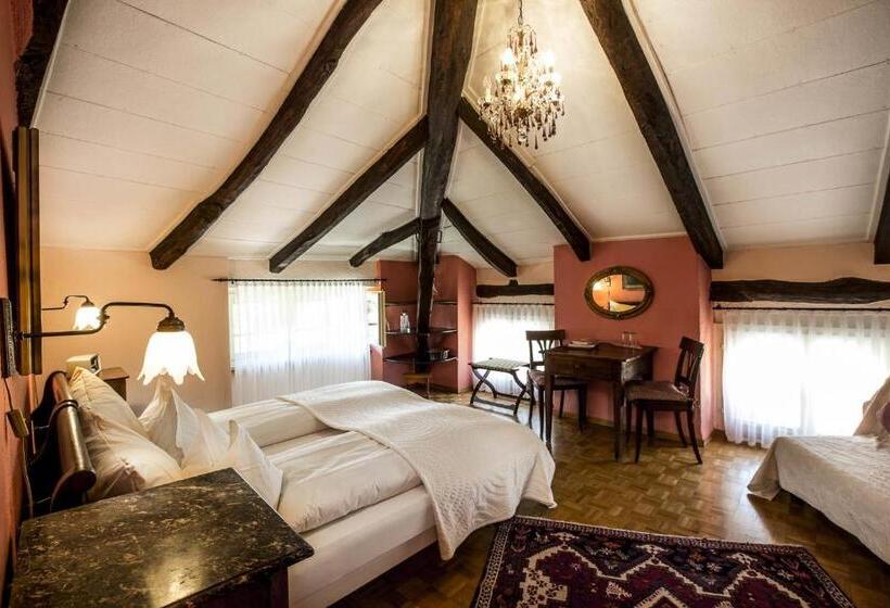 スーペリアールーム, Swiss Historic Hotel Villa Carona