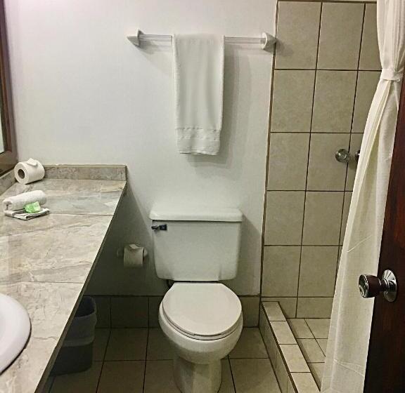 Номер Стандарт, Ambassador