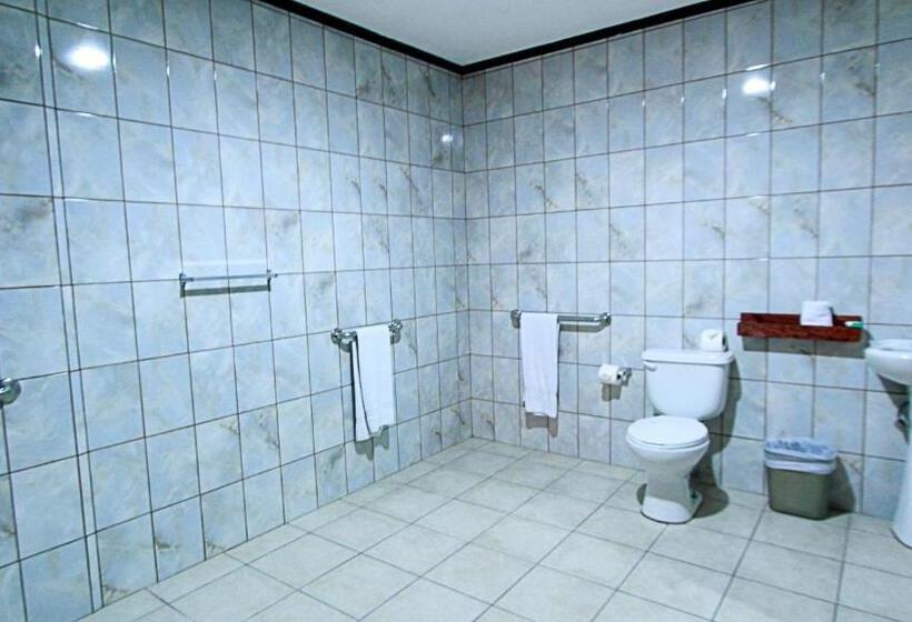 Номер Стандарт Адаптированный для Инвалидов, Ambassador