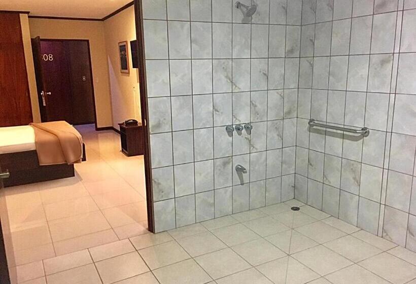 Номер Стандарт Адаптированный для Инвалидов, Ambassador