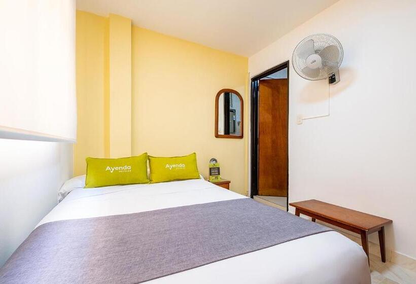 Standart Oda, Ayenda 1502 Principe