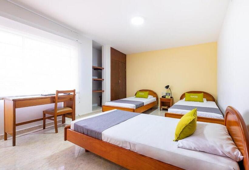 Lüks Üç Kişilik Oda, Ayenda 1502 Principe