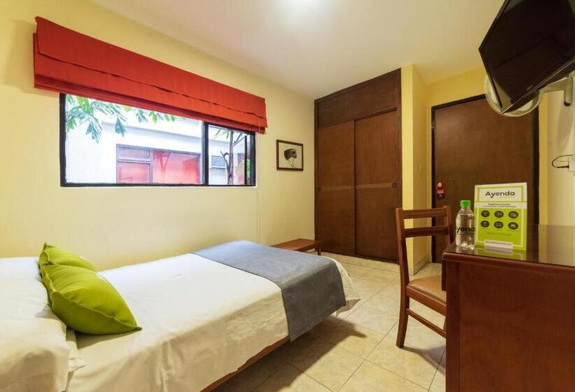 Standart Tek Kişilik Oda, Ayenda 1502 Principe