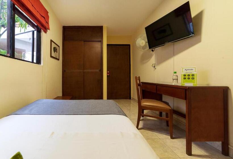 Standart Tek Kişilik Oda, Ayenda 1502 Principe