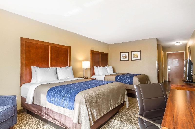 이그제큐티브 룸 킹사이즈 침대, Golden Tulip Shanghai Hongqiao A Louvre