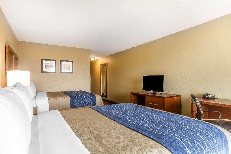 اتاق اجرایی با تخت بزرگ, Golden Tulip Shanghai Hongqiao   A Louvre