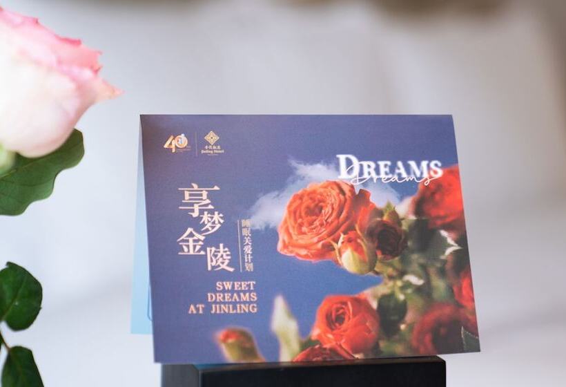 Номер Deluxe Вид на Город, Jinling