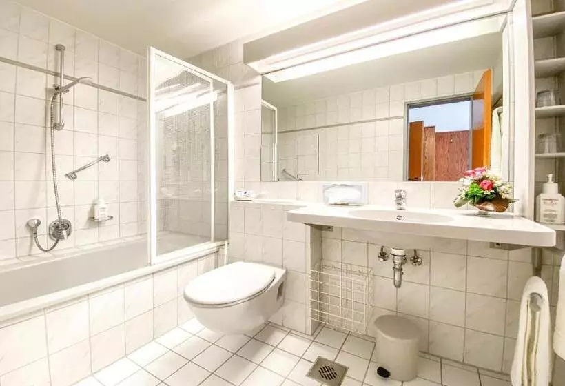 Classic Single Room, Restaurant Vier Linden