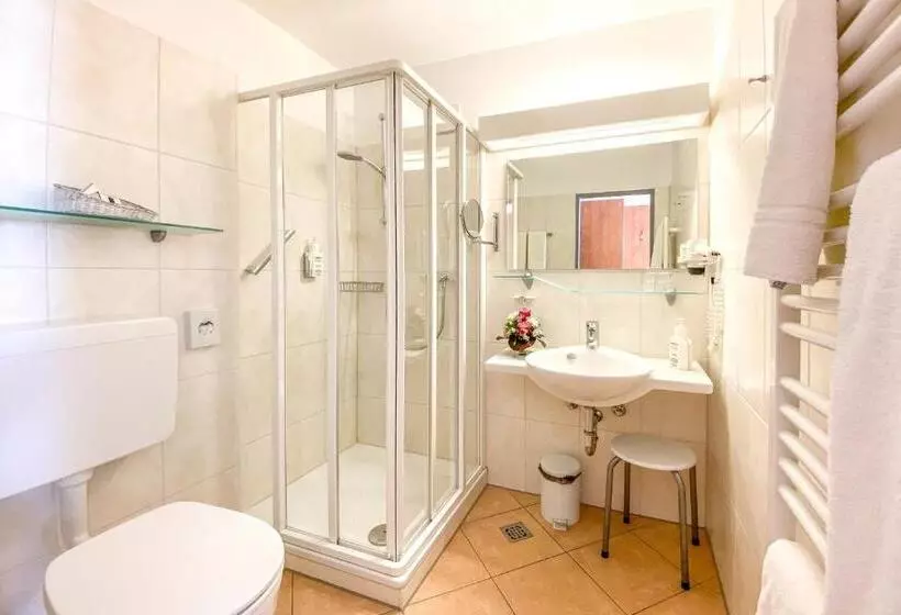 Economy Single Room, Restaurant Vier Linden