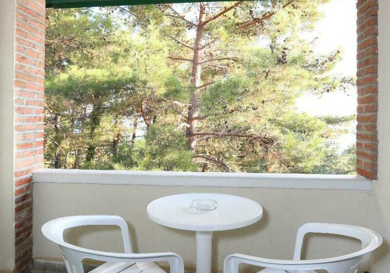 스탠다드 룸, Forest Park