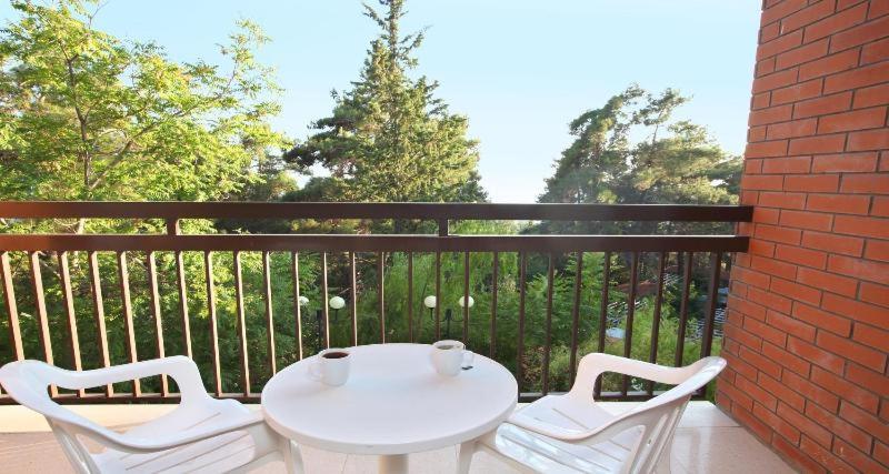 스탠다드 룸, Forest Park