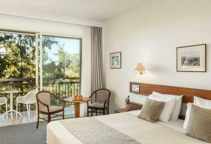 수피리어 룸, Forest Park