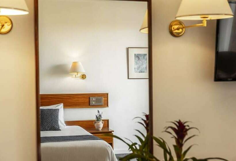 스탠다드 룸, Forest Park