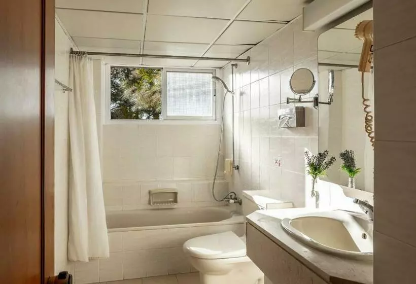 Chambre Familiale, Forest Park