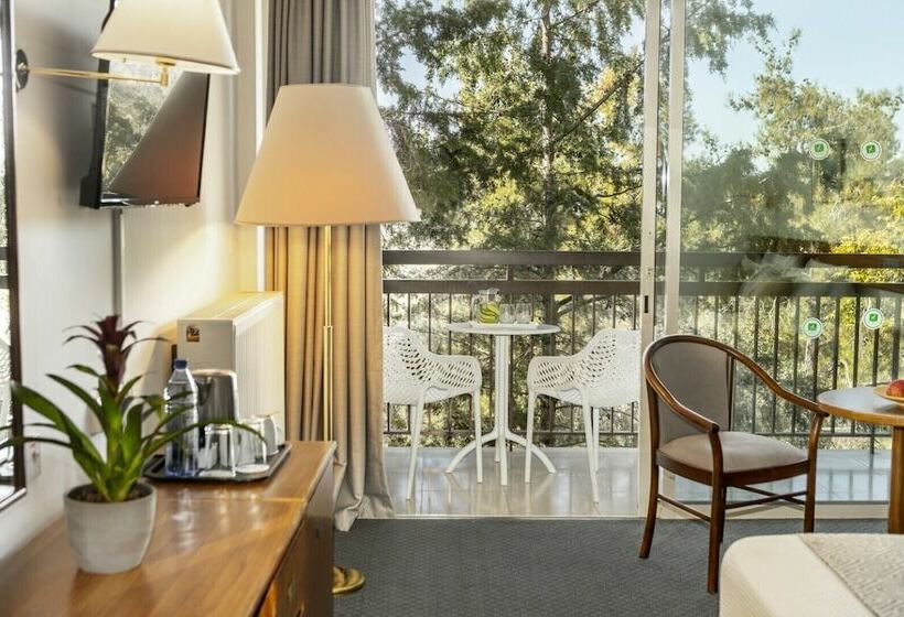 수피리어 룸, Forest Park