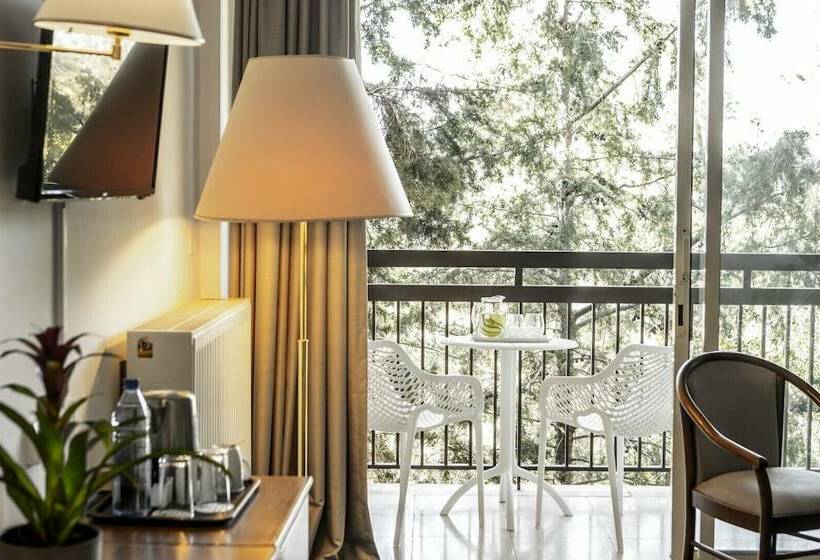 수피리어 룸, Forest Park