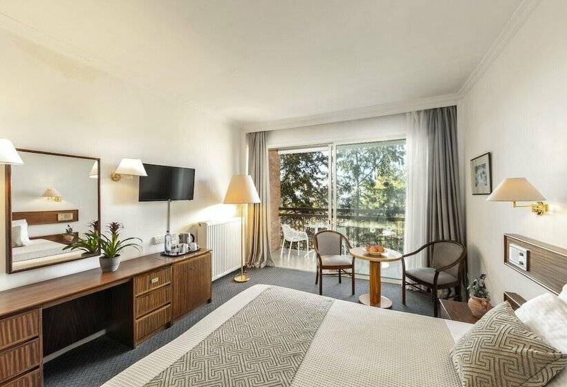 수피리어 룸, Forest Park