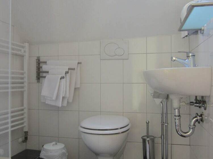 标准间, Altstadt Hotel Rheinblick