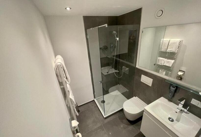 クラシックシングルルーム, Congress Hotel Am Stadtpark