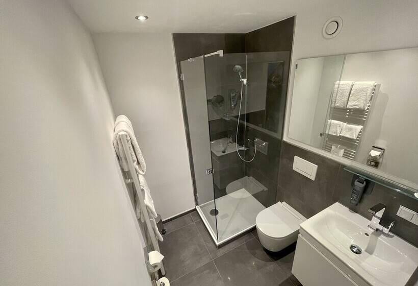 クラシックシングルルーム, Congress Hotel Am Stadtpark