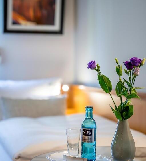 舒适型单人间, Insel Hotel Bonn   Superior