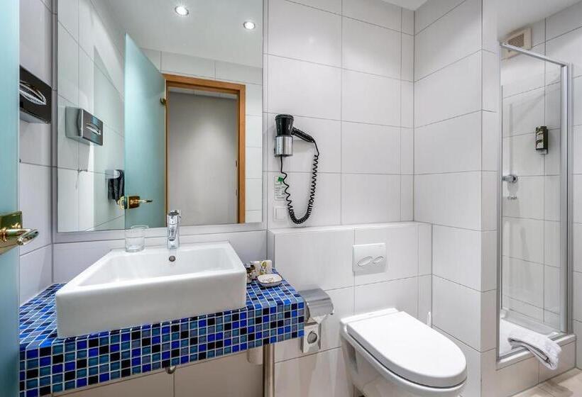 舒适型单人间, Insel Hotel Bonn   Superior