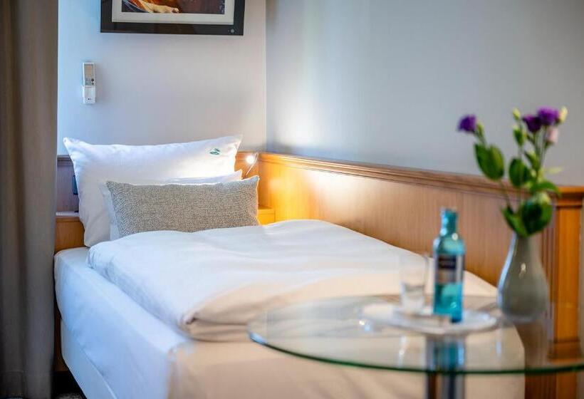 Номер Комфорт Индивидуальный, Insel Hotel Bonn   Superior