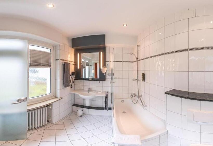 标准单人间, Insel Hotel Bonn   Superior