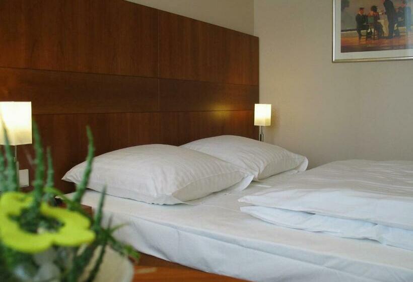 Quarto Estandar Individual, Lindenhof
