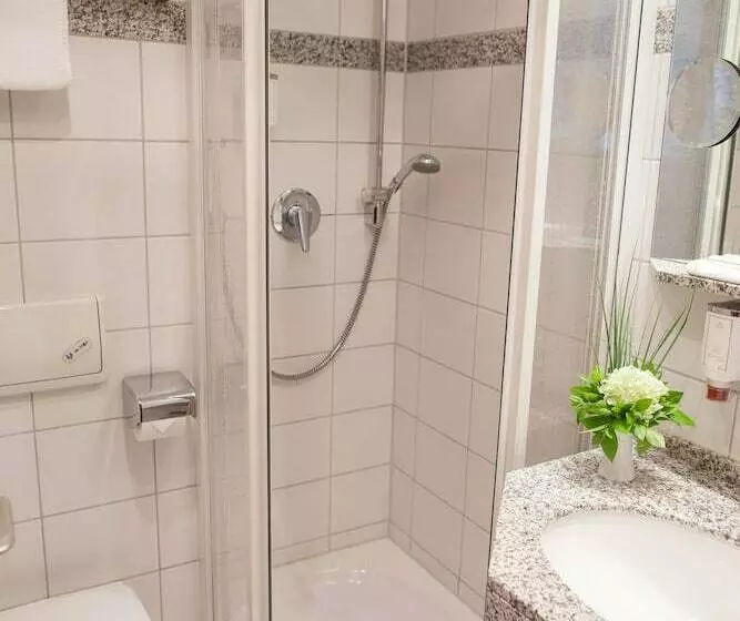 اتاق استاندارد یک نفره, Parkhotel Hohenfeld Münster