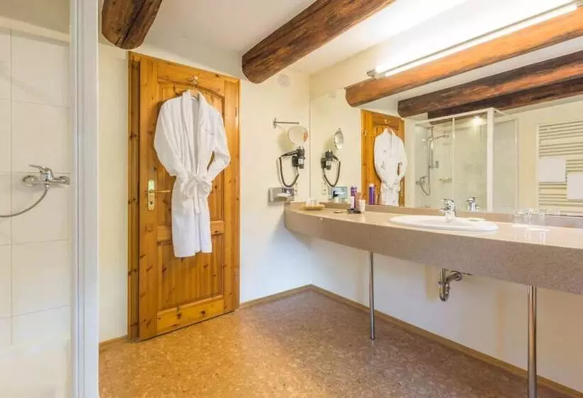 اتاق سوپریور, Romantik Hotel Reichshof