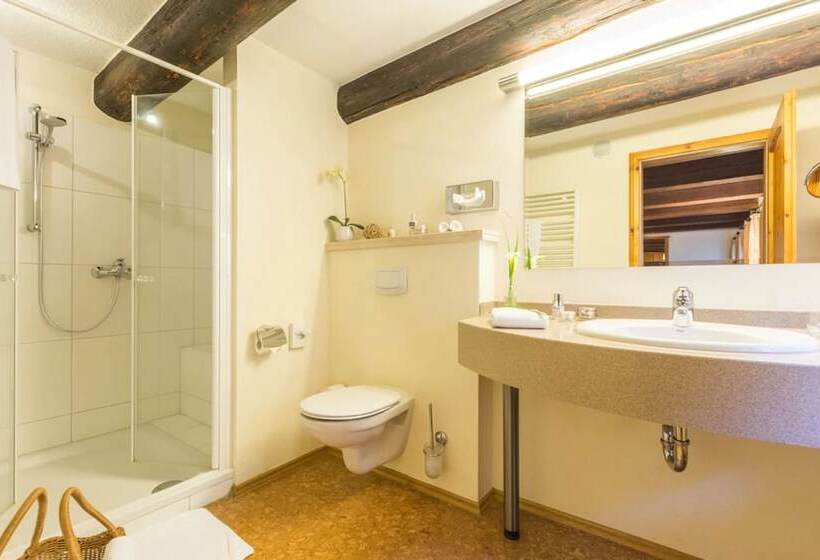 غرفة كومفورت, Romantik Hotel Reichshof