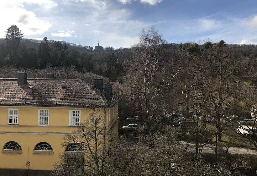 غرفة كومفورت فردية, Schlosshotel Kassel