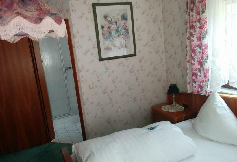 标准单人间, Seemöwe