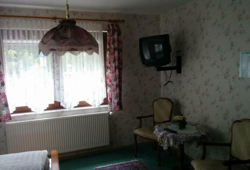 标准单人间, Seemöwe