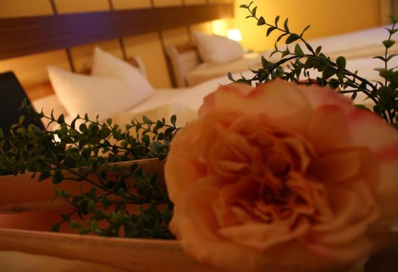 스탠다드 싱글 룸, Stadt Soest