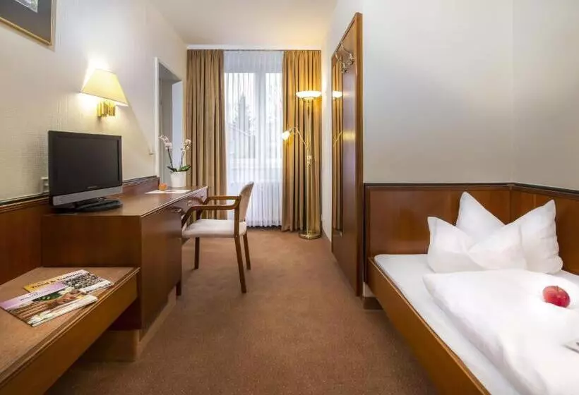 Standard Yhden Hengen Huone, Parkhotel Stadtallendorf