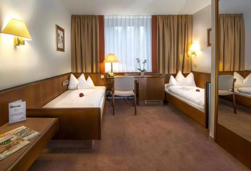 Standard-huone, Parkhotel Stadtallendorf
