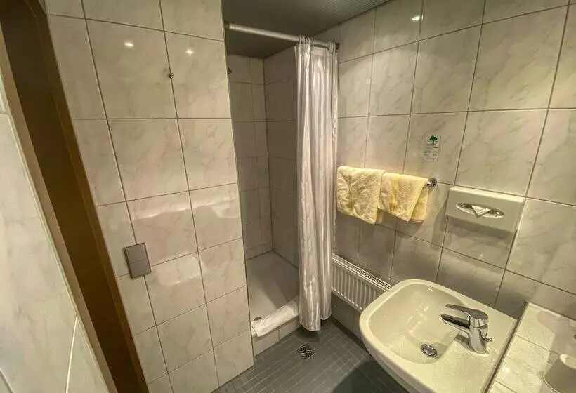 コンフォートシングルルーム, City Partner Hotel Berliner Hof