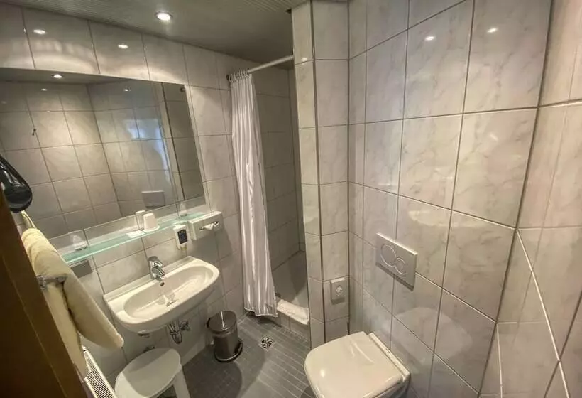 コンフォートシングルルーム, City Partner Hotel Berliner Hof