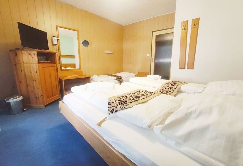 컴포트 트리플 룸, City Hotel Pforzheim