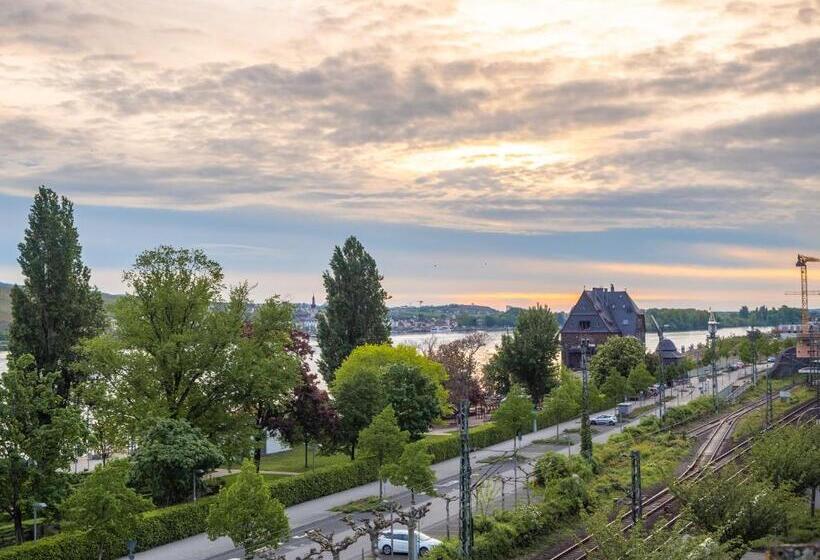 스탠다드 발코니 스튜디오, Krone