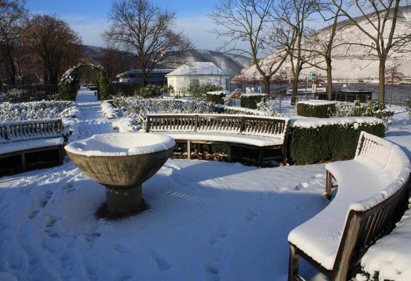 스탠다드 발코니 스튜디오, Krone