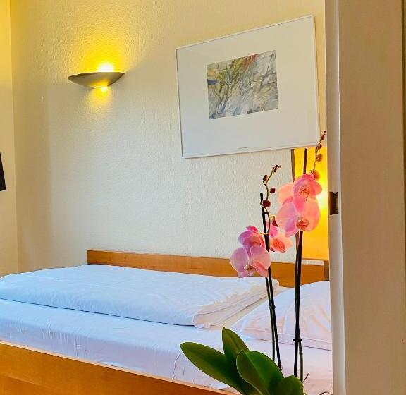 Standard Yhden Hengen Huone, Plaza Inn Rieker Stuttgart Hauptbahnhof