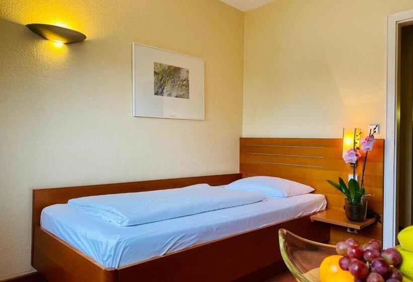 Standard Yhden Hengen Huone, Plaza Inn Rieker Stuttgart Hauptbahnhof