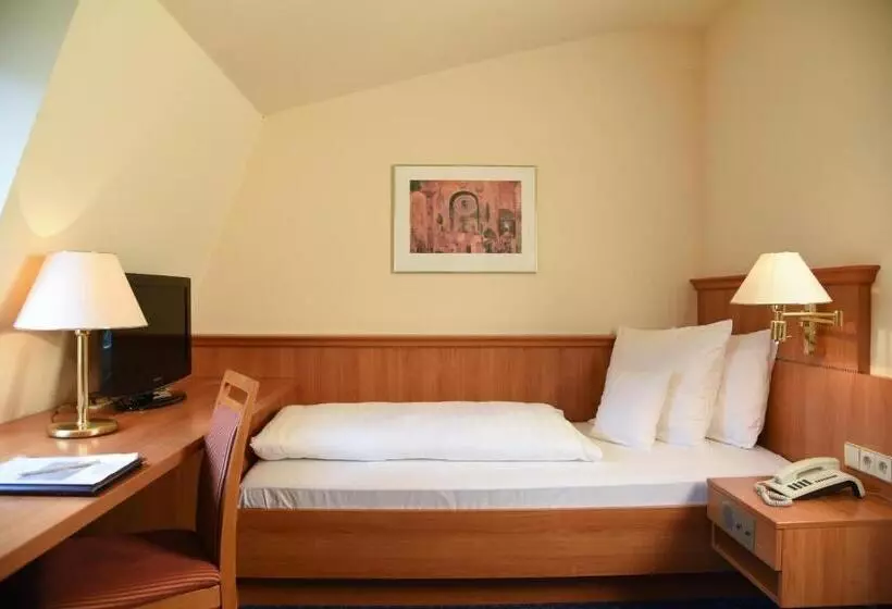 اتاق اکونومی یک تخته, Parkhotel Bad Homburg